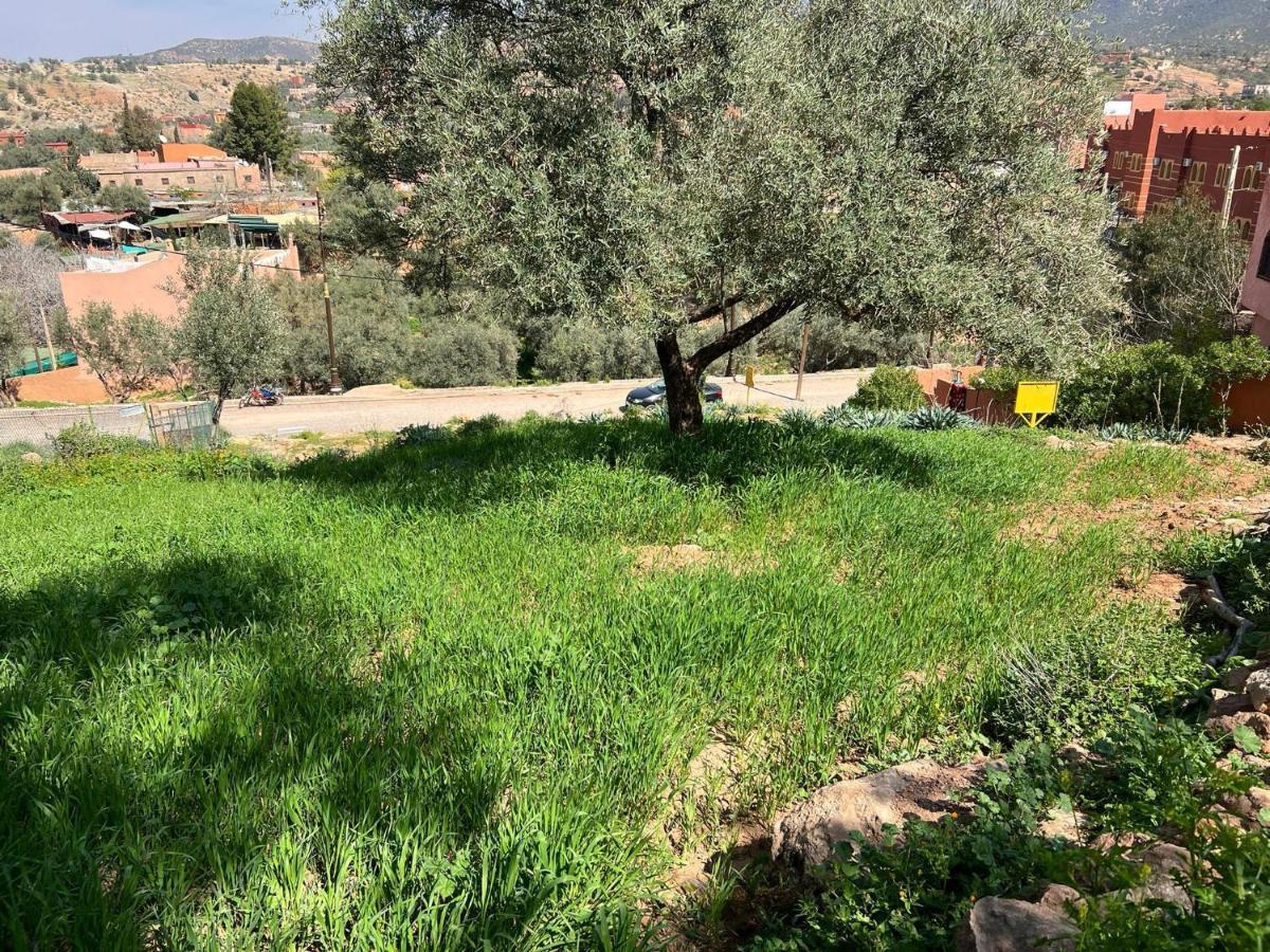 Maison D'Hotes Amazir أوزود المظهر الخارجي الصورة